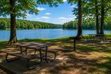 219 Snap Bean Ln - Photo 9