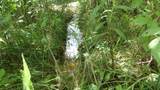 0 Lonnie Reecer Rd - Photo 42