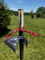 0 Old Coopertown Town Road - Photo 46