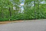 0 Eagle Bluff - Photo 4