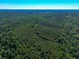 0 White Oak Rd - Photo 6