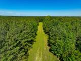 0 White Oak Rd - Photo 9