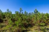0 White Oak Rd - Photo 14