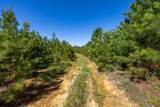 0 White Oak Rd - Photo 26