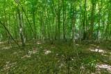 0 White Oak Rd - Photo 28