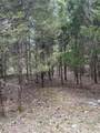0 Pin Hook Road - Photo 4