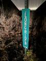 64 Lone Rider Lane - Photo 2