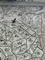 64 Lone Rider Lane - Photo 3