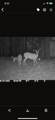 236 County Road 3 - Photo 20