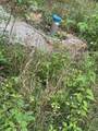 236 County Road 3 - Photo 10