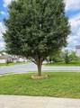 1569 Apache Way - Photo 16