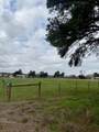 2 Eureka Road - Photo 4