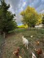 6045 Green Road - Photo 60
