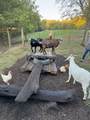 6045 Green Road - Photo 61