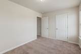 3205 Dizzy Dean Dr - Photo 15