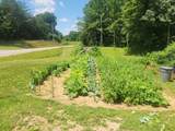 2888 Nashville Hwy - Photo 11
