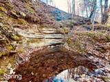 1611 Knob Creek Rd - Photo 15