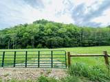 1611 Knob Creek Rd - Photo 3