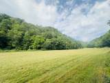 1611 Knob Creek Rd - Photo 22