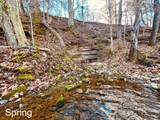 1611 Knob Creek Rd - Photo 27