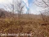 1611 Knob Creek Rd - Photo 29