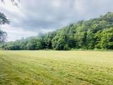 1611 Knob Creek Rd - Photo 4