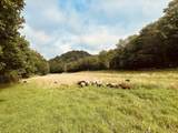1611 Knob Creek Rd - Photo 33
