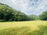 1611 Knob Creek Rd - Photo 35