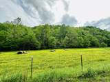 1611 Knob Creek Rd - Photo 36
