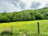 1611 Knob Creek Rd - Photo 37