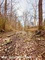 1611 Knob Creek Rd - Photo 42