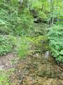 1611 Knob Creek Rd - Photo 44