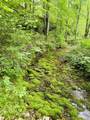 1611 Knob Creek Rd - Photo 45