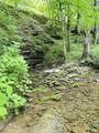 1611 Knob Creek Rd - Photo 46