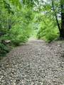 1611 Knob Creek Rd - Photo 47