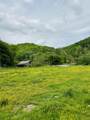 1611 Knob Creek Rd - Photo 48