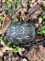 0 Preakness Place - Photo 18