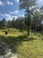 251 Fox Ridge Rd - Photo 16