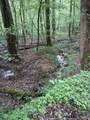 0 Tinker Branch Road - Photo 14