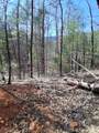 0 Tinker Branch Road - Photo 5