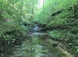 0 Backbone Road - Photo 21
