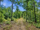 0 Backbone Road - Photo 4