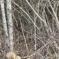 6 Saffles Lane - Photo 4