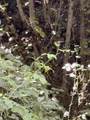 1 Old Furnace Road - Photo 4