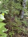 4 Old Furnace Road - Photo 2