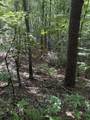 4 Old Furnace Road - Photo 12