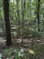 4 Old Furnace Road - Photo 13