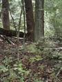 4 Old Furnace Road - Photo 4