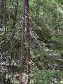 4 Old Furnace Road - Photo 7