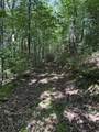 4 Old Furnace Road - Photo 10